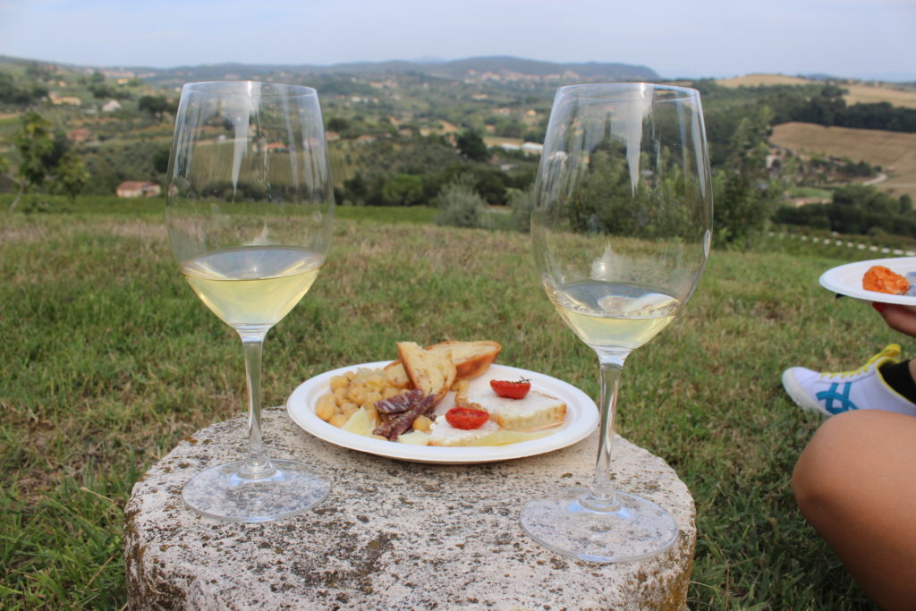 Passeios pelas vinícolas na Umbria: Cantine Zanchi
