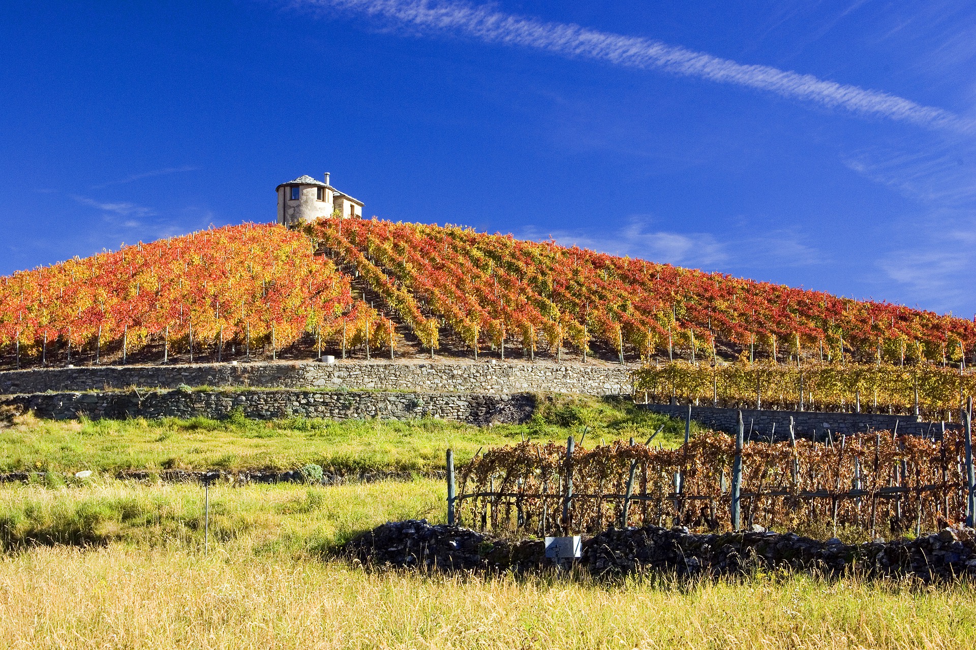 Os vinhos do Valle d'Aosta