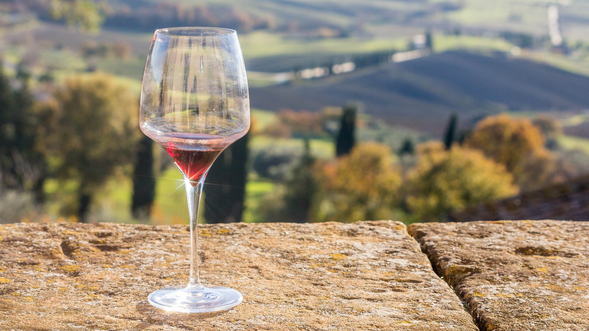 Os vinhos da região Abruzzo