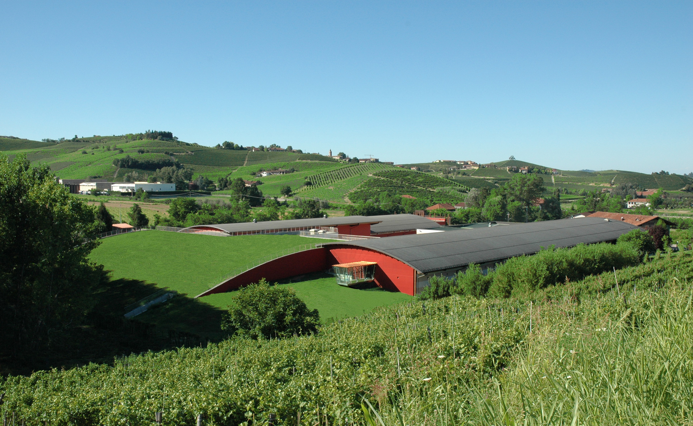 vinícola Terre da Vino em Barolo