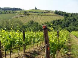 a paisagem do Chianti